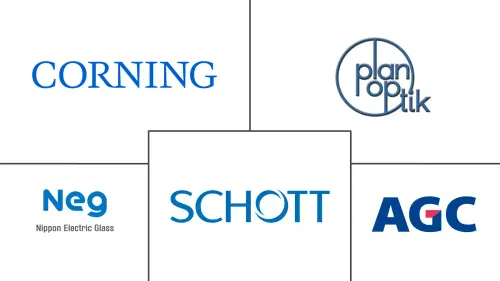 Glass Wafer Carrier Market Major Players