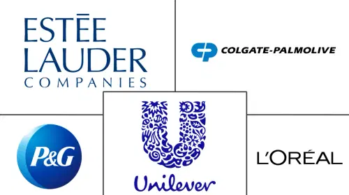 美容・パーソナルケア製品市場 Major Players