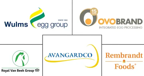 Egg White Powder Market Major Players