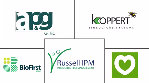 Fly Trap Market Major Players