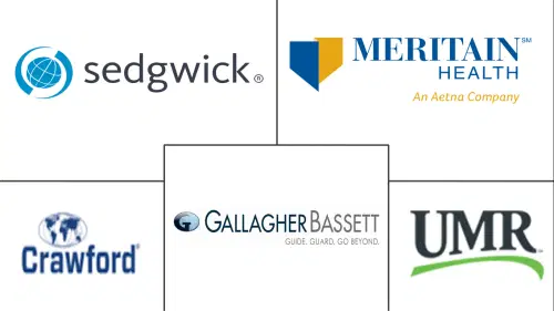 Mercado de Administradores Externos de Seguros Major Players