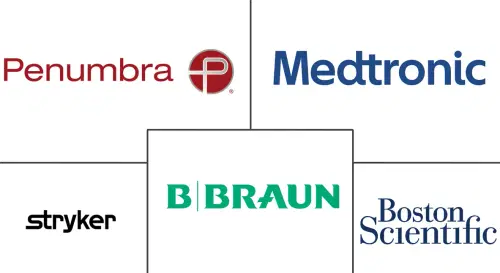 Interventional Neurology Market Major Players