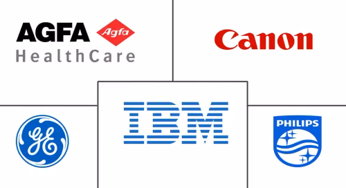 Medical Imaging Analysis Software Market Major Players