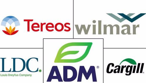 Glucose Market Major Players