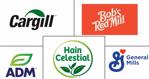 Gluten Free Flours Market Major Players