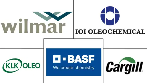 Glycerin Market Major Players