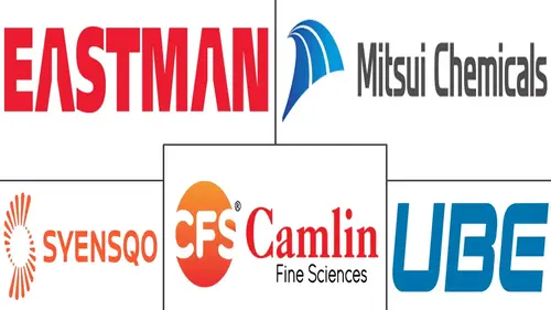 Hydroquinone Market Major Players