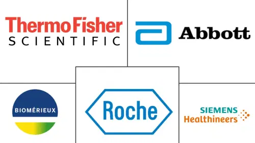 In Vitro Diagnostic Market Major Players
