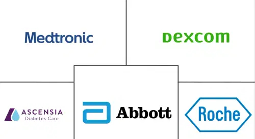 India Continuous Glucose Monitoring (CGM) Market Major Players