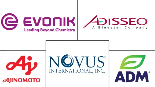 India Feed Amino Acids Market Major Players