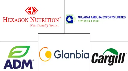 India Protein Market Major Players