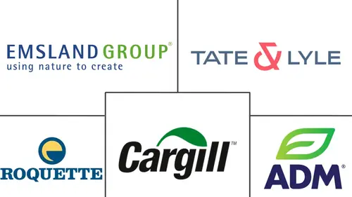 Industrial Starches Market Major Players