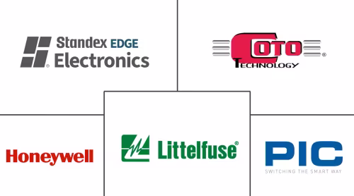 Italy Automotive Reed Sensors/Switches Market Major Players
