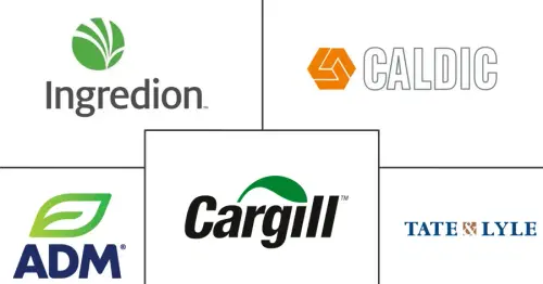 Italy Food Hydrocolloids Market Major Players