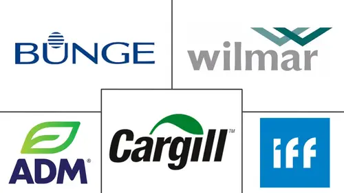 Lecithin Market Major Players