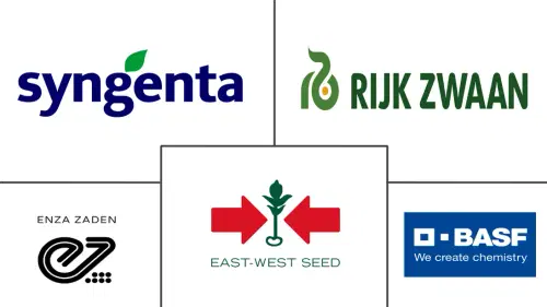 Lettuce Seeds Market Major Players