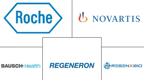 Macular Degeneration Treatment Market Major Players