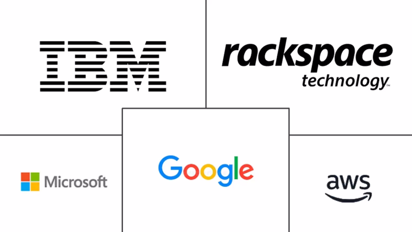 Major players in Managed Hosting industry