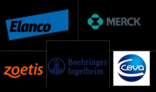 Mexico Veterinary Healthcare Market Major Players