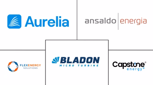 Marché des Micro-Turbines Major Players