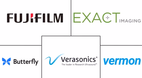 Micro-Ultrasound Systems Market Major Players