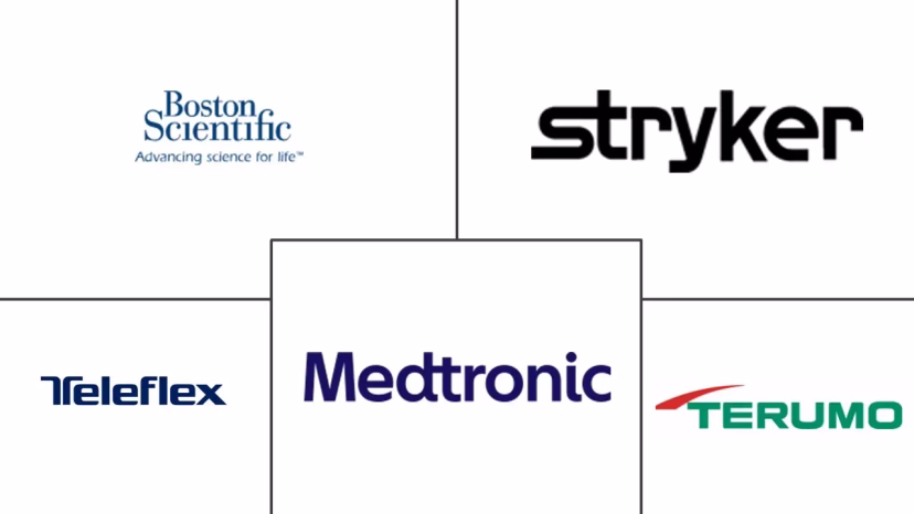 Major players in Microcatheters industry