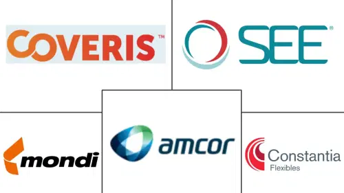 MEA Pouch Packaging Market Major Players