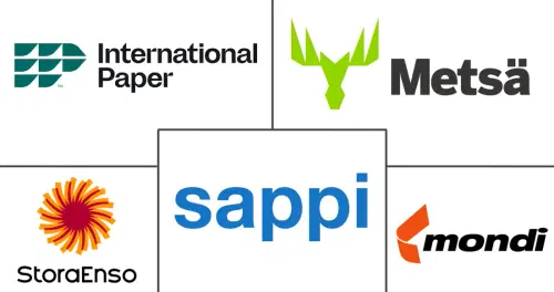 Middle East and Africa Pulp and Paper Market Major Players