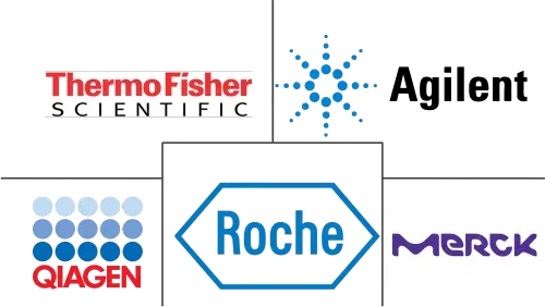 Molecular Biology Enzymes, Kits And Reagents Market Major Players