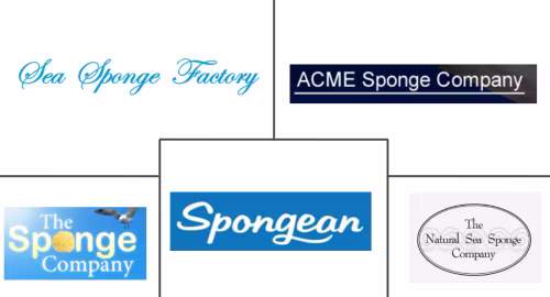 Natural Sponge Market Major Players
