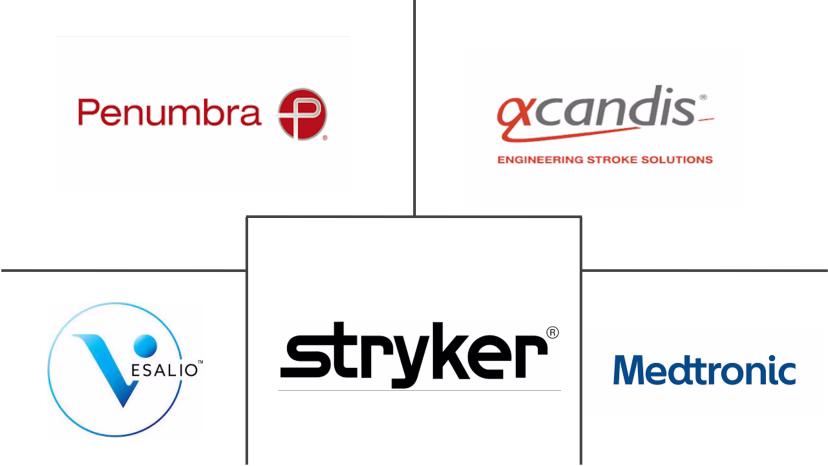 Major players in Neurovascular Thrombectomy Devices industry