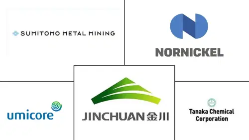 Nickel Hydroxide Market Major Players