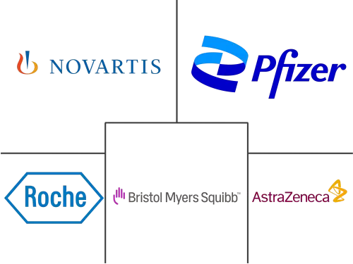 Non-Small Cell Lung Cancer (NSCLC) Market Major Players