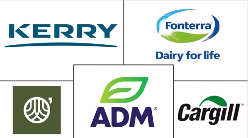 North America Cheese Powder Market Major Players