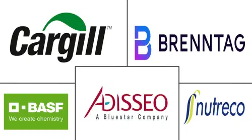 North America Feed Acidifiers Market Major Players