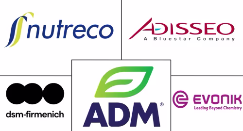 North America Feed Additives Market Major Players