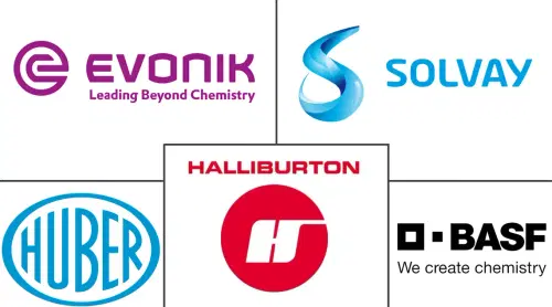 North America Feed Anti-Caking Agent Market Major Players