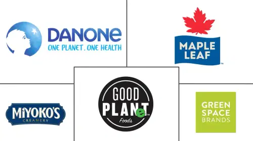 North America Non-dairy Cheese Market Major Players