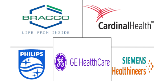 North America Nuclear Imaging Market Major Players