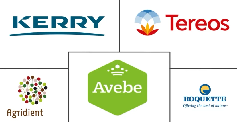 Major players in North America Potato Protein industry