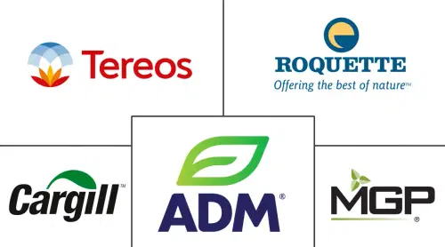 North America Wheat Protein Market Major Players