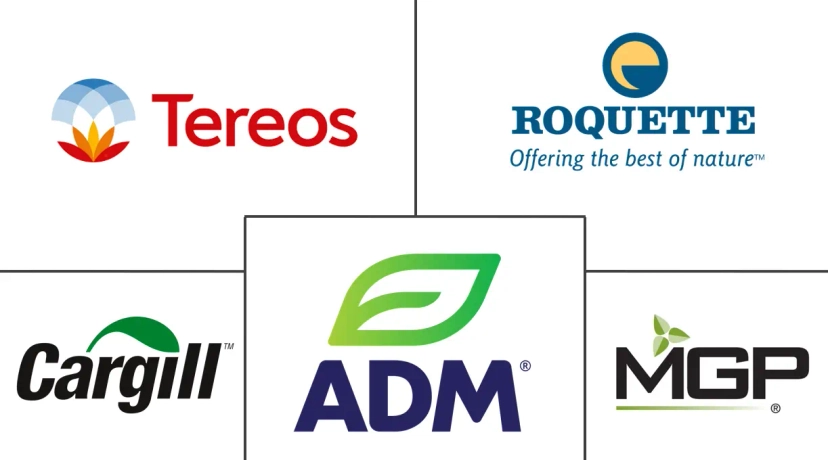 Major players in North America Wheat Protein industry