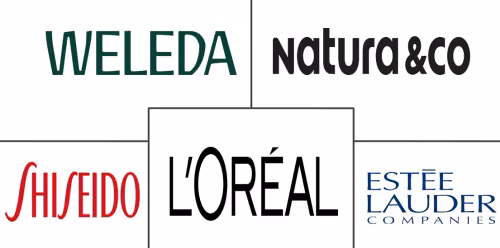 Organic Skin Care Market Major Players