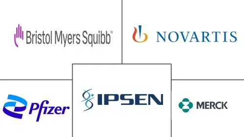 Pancreatic Endocrine Tumor Market Major Players