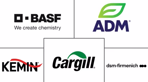 Pet Food Additives Market Major Players