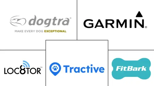 Pet Wearable Market Major Players
