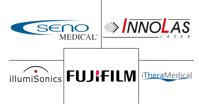 Major players in Photoacoustic Imaging industry