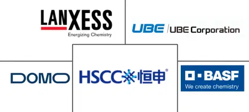 Polyamide (PA) 6 Market Major Players