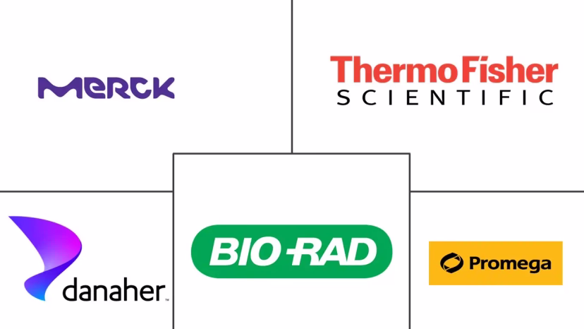 Major players in Protein Binding Assays industry