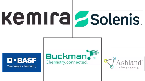 Pulp And Paper Chemicals Market Major Players